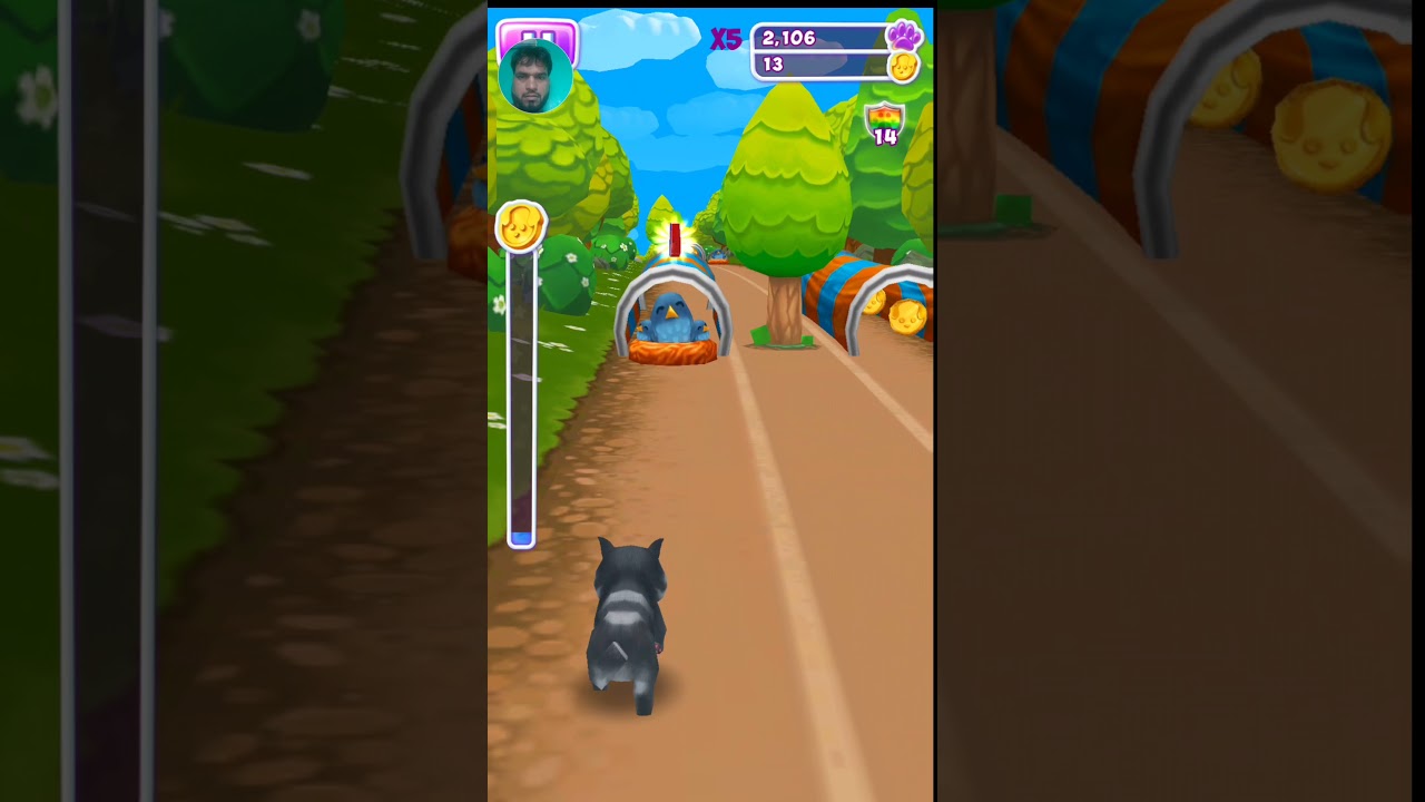 cat run game / pet run / puppy racing Android /ios game play/ 