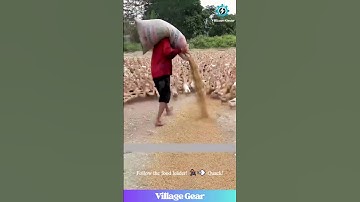 The DUCK LORD has Arrived! 👑Feeding His Quacking Army! #ducks #funnyanimals #farminglife #omg #epic