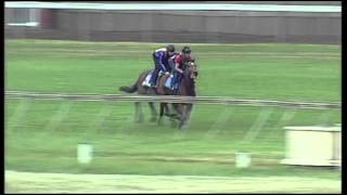 Vodacom Durban July 2013 Do You Remember Gallop