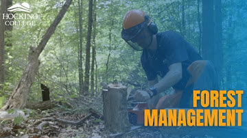 Forest Management Program
