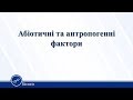 Абіотичні та антропогенні фактори. Біологія 11 клас