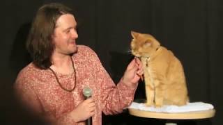 A Street Cat Named Bob Japan premier - James Bowen Interview ボブという名の猫・幸せのハイタッチ ジャパンプレミア