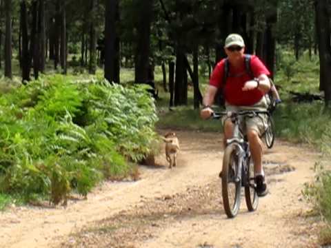 Russ and Mike of AZ Mt. Bike Tours ride the Mogollon Rim and Promentory Butte