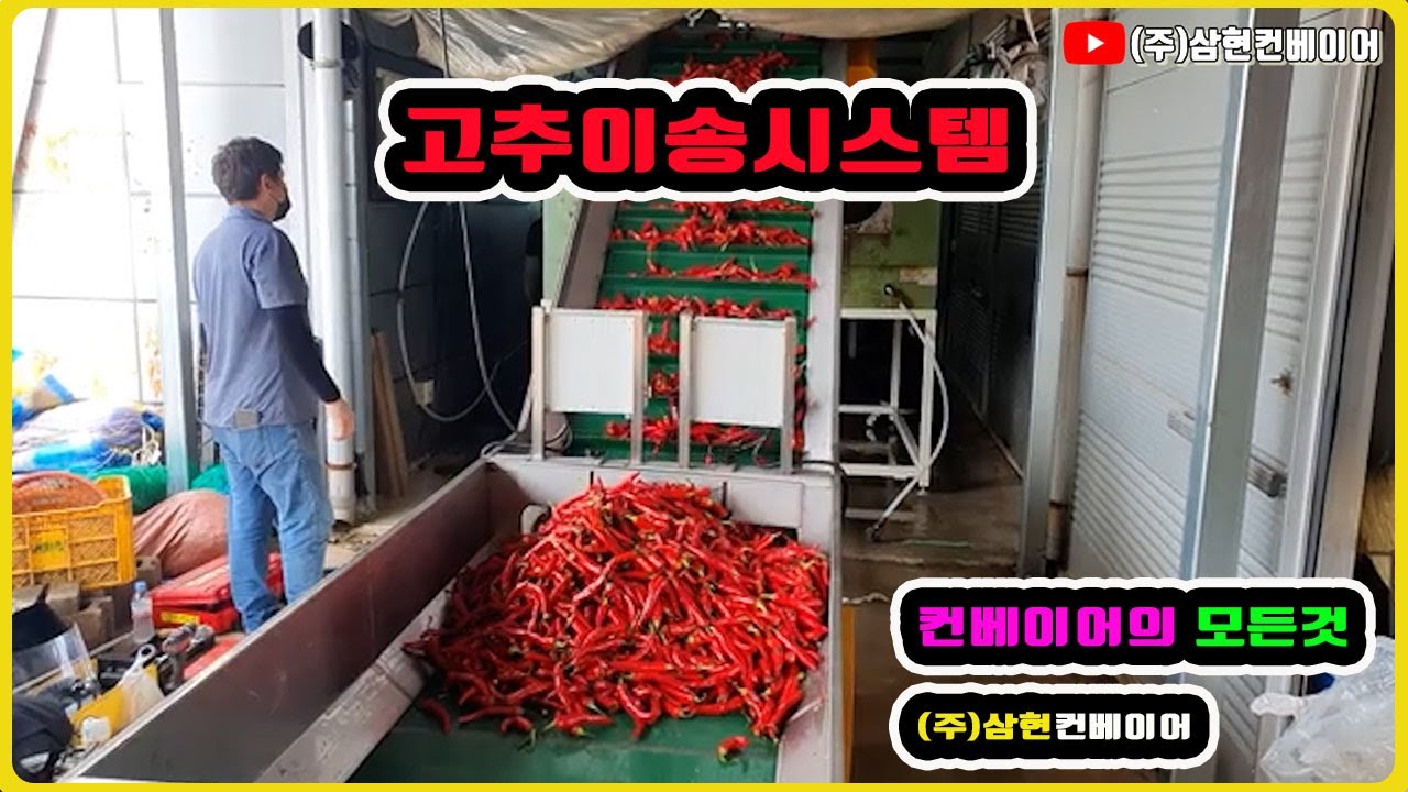 [고추이송시스템] - [(주)삼현컨베이어] #컨베이어제작 #컨베이어 #콘베어 #conveyor#컨베이어벨트#콘베어벨트#콘베어제작