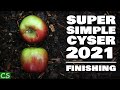 Super Simple Cyser 2021 - Let's finish and bottle this apple mead!