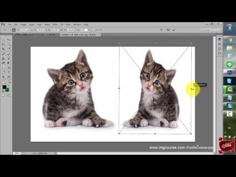 วีดีโอ: วิธีการประมวลผลขอบใน Photoshop