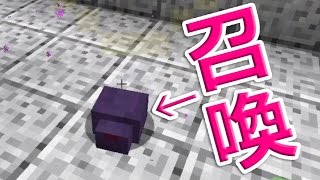 【カズクラ】マイクラ実況 PART390 変な虫を召喚してみた！