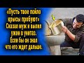 "Пусть твое пойло крысы едят" - сказал муж и вылил ужин в унитаз, если бы он знал что его ждет.