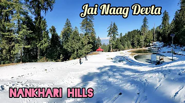 A beautiful place, Where you can Rest in Peace before death . । जय दुधिया नाग | Nankhari | shimla
