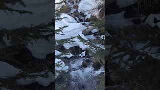  Winter Stream