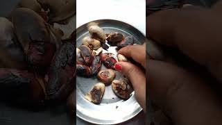 Download Lagu কাঁঠাল বিচি 😋🌶️                                                     Niramis Kathaler Bichi Vorta 🌶️ MP3