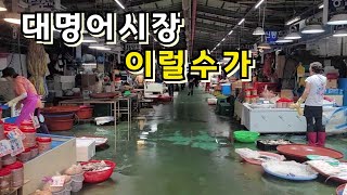 대명어시장/대명수산시장 평일 이럴수가