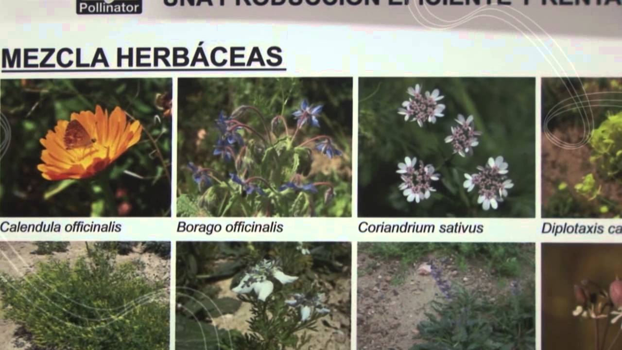 ‘Paisajes multifuncionales’ llega a España cereal milk