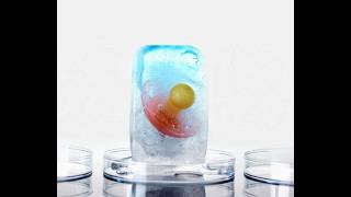 Dr. Abha Majumdar on Egg Freezing | Why It's Becoming So Common
