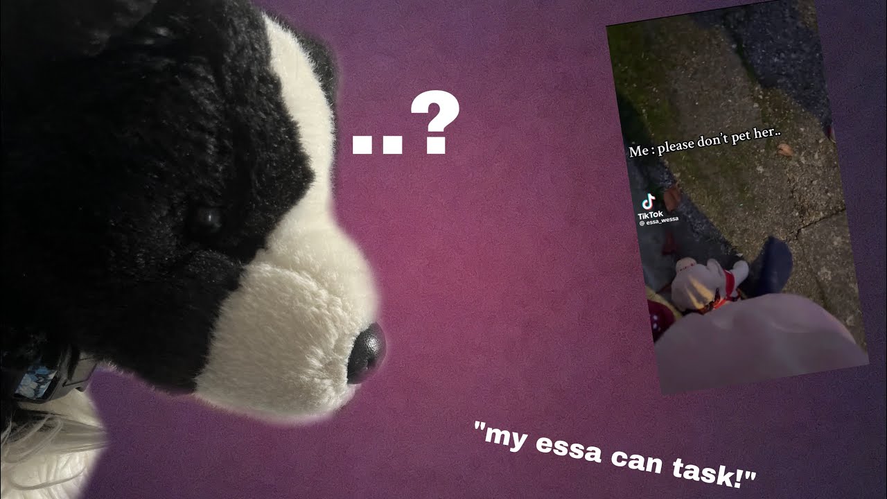 essa owner reacts to odd essa tiktok videos!