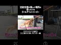 注射会場を楽しい場所と思っているゴールデンレトリーバー