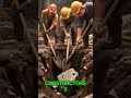 SABIAS QUE para construir un puente sobre el agua