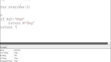 SQL Server Function - trả về là Ông/Bà dựa vào giới tính