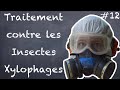 Traitement contre les Insectes Xylophages - NLAB #12