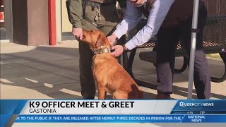 Meet Gaston County's newest narcotics detection K9