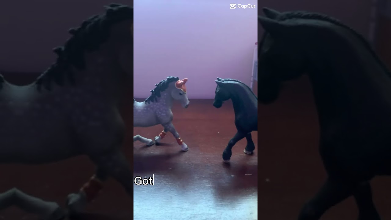 It’s kinda a bad edit but it’ll do:) 