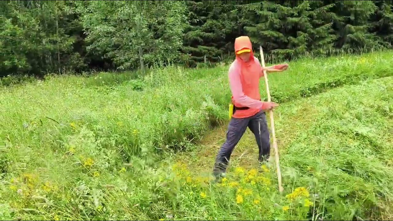 Kõige erilisem treening? Vikatiga heinaniitmine on kehale ja vaimule!
