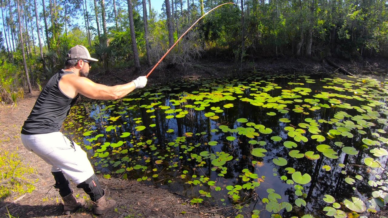 BAMBOO CANE POLE FISHING secluded POND full of THICK LILY PADS deep in