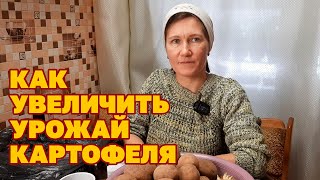 СДЕЛАЙ ТАК! МЕЛКОЙ КАРТОШКИ НЕ БУДЕТ ПОДГОТОВКА СЕМЕННОГО КАРТОФЕЛЯ КОЛЬЦЕВАНИЕ@obovsemsmarusya