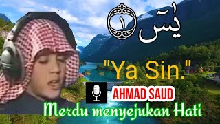 Surah Yasin Terjemahan-Juz Ama||Ahmad Saud || Al-Qur'an Menyejukan Hati