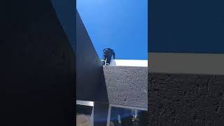 CIPP Inversion Pipe Relining