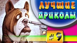 Лучшие приколы | Смешные собаки | Подборка видео Лучшие приколы | Смешные собаки | Подборка видео