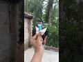 Survival Skills: SMART ideas andUseful in forest #survival #useful #ideasb #smart #shorts #camping