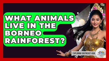 What Animals Live In The Borneo Rainforest? - Exploring Southeast Asia