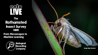 The Rothamsted Insect Survey NBRI: From Microscopes to Machine Learning