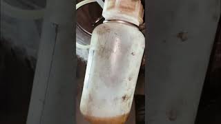 DIY brake fluid change #mechanic #repair #bmw #e36 #diy #maintenance #car #3series #classiccar