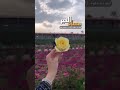 صباحيات مسائيات مساكم حب