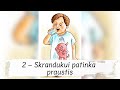 2 – Linkėjimai nuo skranduko: skrandukui patinka praustis