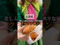 【大阪なんば食べ歩きグルメおすすめ5選‼︎】ハナエモンスター編💚