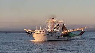 Shrimp boat heading out for the morning catch!