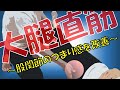 vol.384 大腿直筋リリース法！　～屈曲時の股関節前方のつまり感改善～