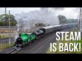 Steam Trains RETURN to Victoria's Mainline! (Steamrail's Y Not Try Again Tour) | Y112