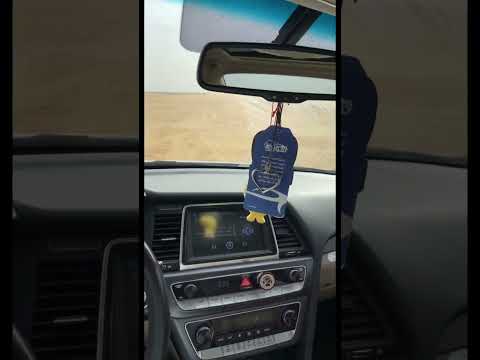 سوناتا بالبر