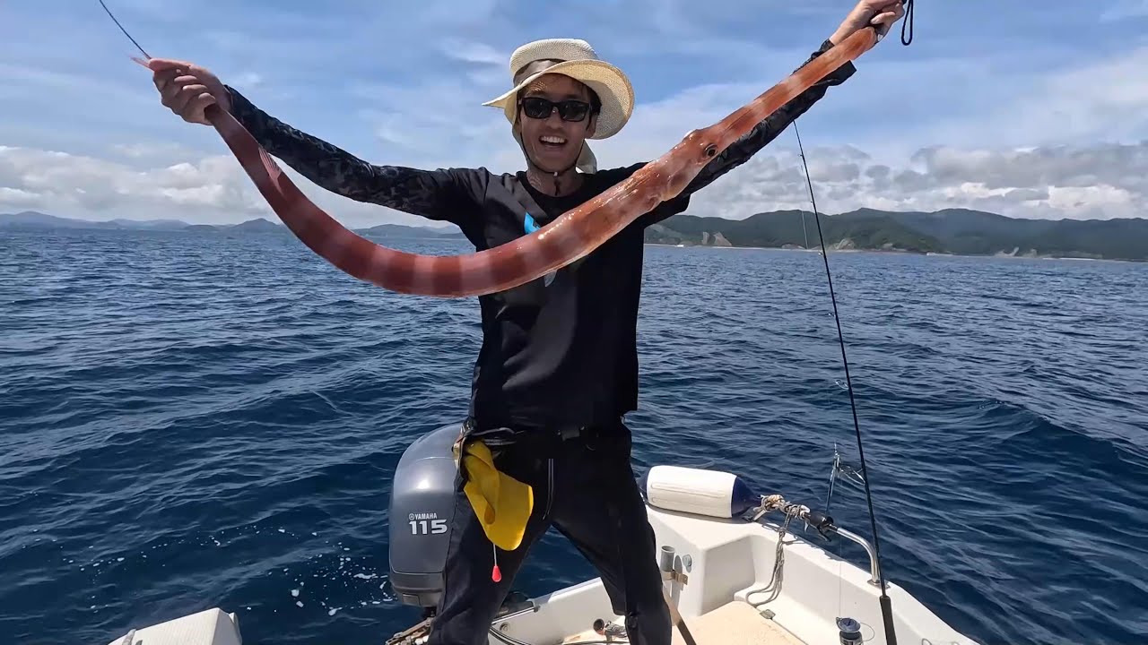 Monster Fish] Giant Red Cornetfish! Actually a high-class fish