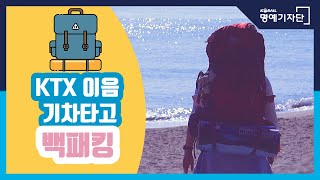 KTX이음 기차타고 백패킹 🚄 동해바다 |삐삐로드 Pippi Road|