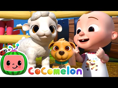 Download Ol' MacDonald - Baby Animal Version | CoComelon Furry Friends | Animals for Kids