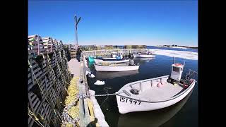 Lobster Fishery On The Northern Peninsula.