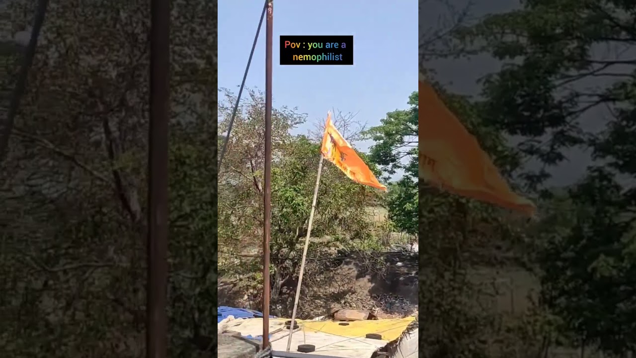 Pov- you are a nemophilist 