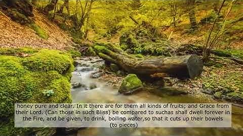 تلاوة تفوق الوصف (مَثَلُ الجَنَّةِ التِي وُعِدَ المُتَّقونْ)