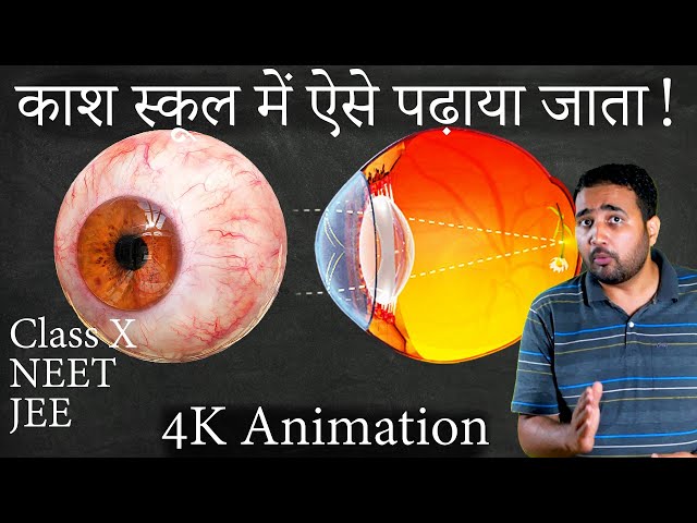 आँख कैसे काम करती है? Human eye and colourful world. CLASS X, NEET JEE 3d Animation. class=