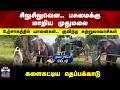 Mudumalai | Elephant | சிலுசிலுவென.. பசுமைக்கு மாறிய முதுமலை.. களைகட்டிய தெப்பக்காடு